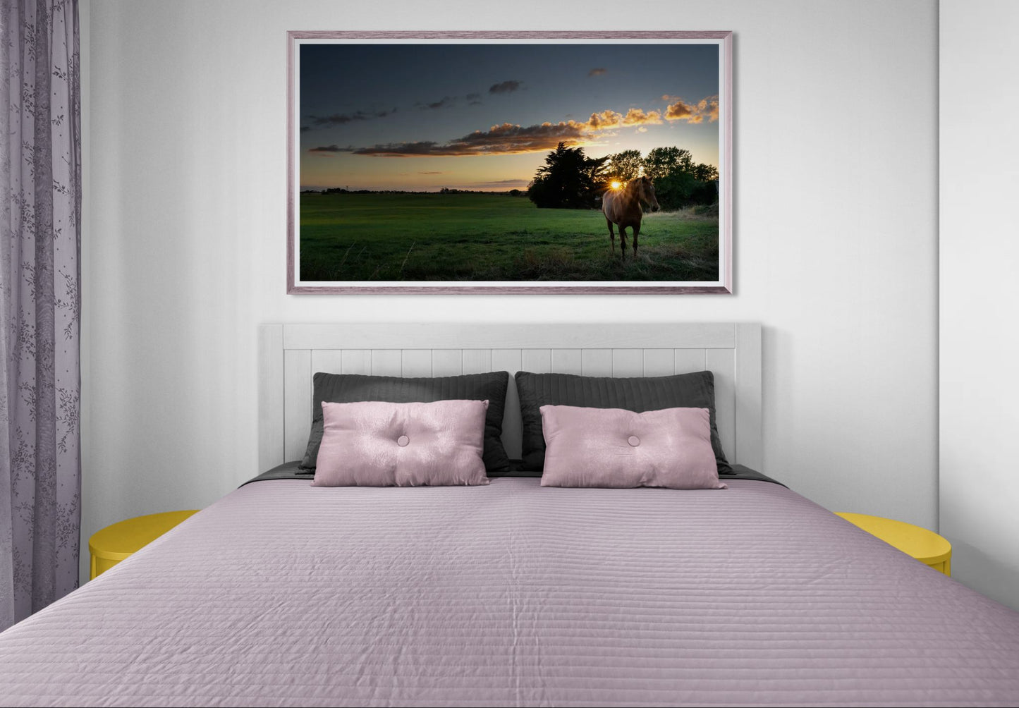 Horse at the sunset