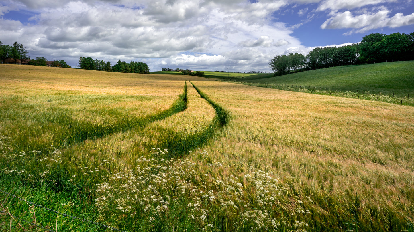 Scotland lowland