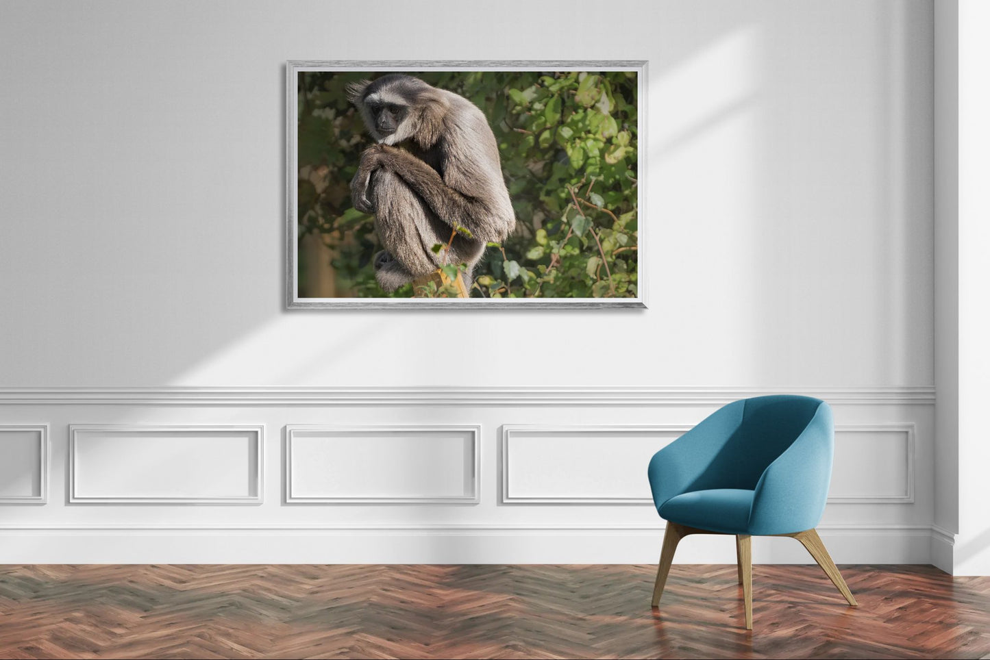 Gibbon détendu