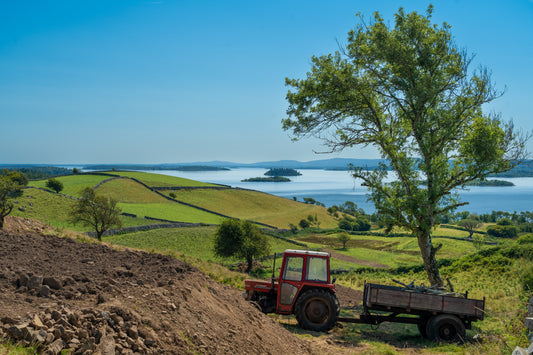 Galway county