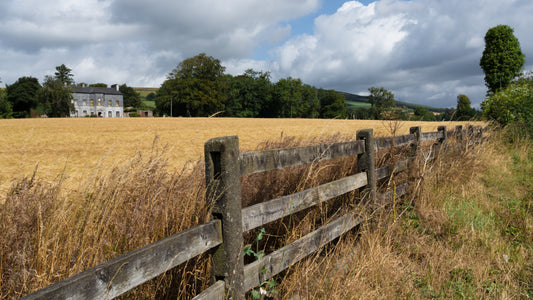 Ireland