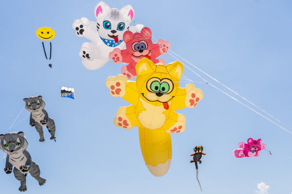 Playful Cat Kites in the Sky – Coastal Whimsy in Flight