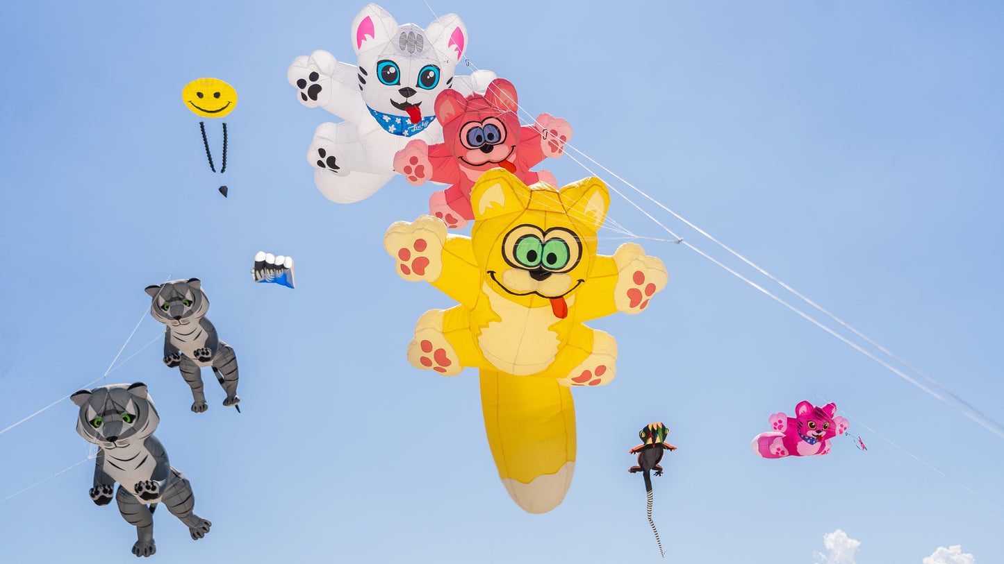 Playful Cat Kites in the Sky – Coastal Whimsy in Flight