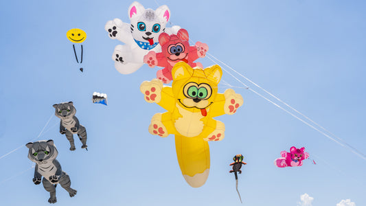 Playful Cat Kites in the Sky – Coastal Whimsy in Flight