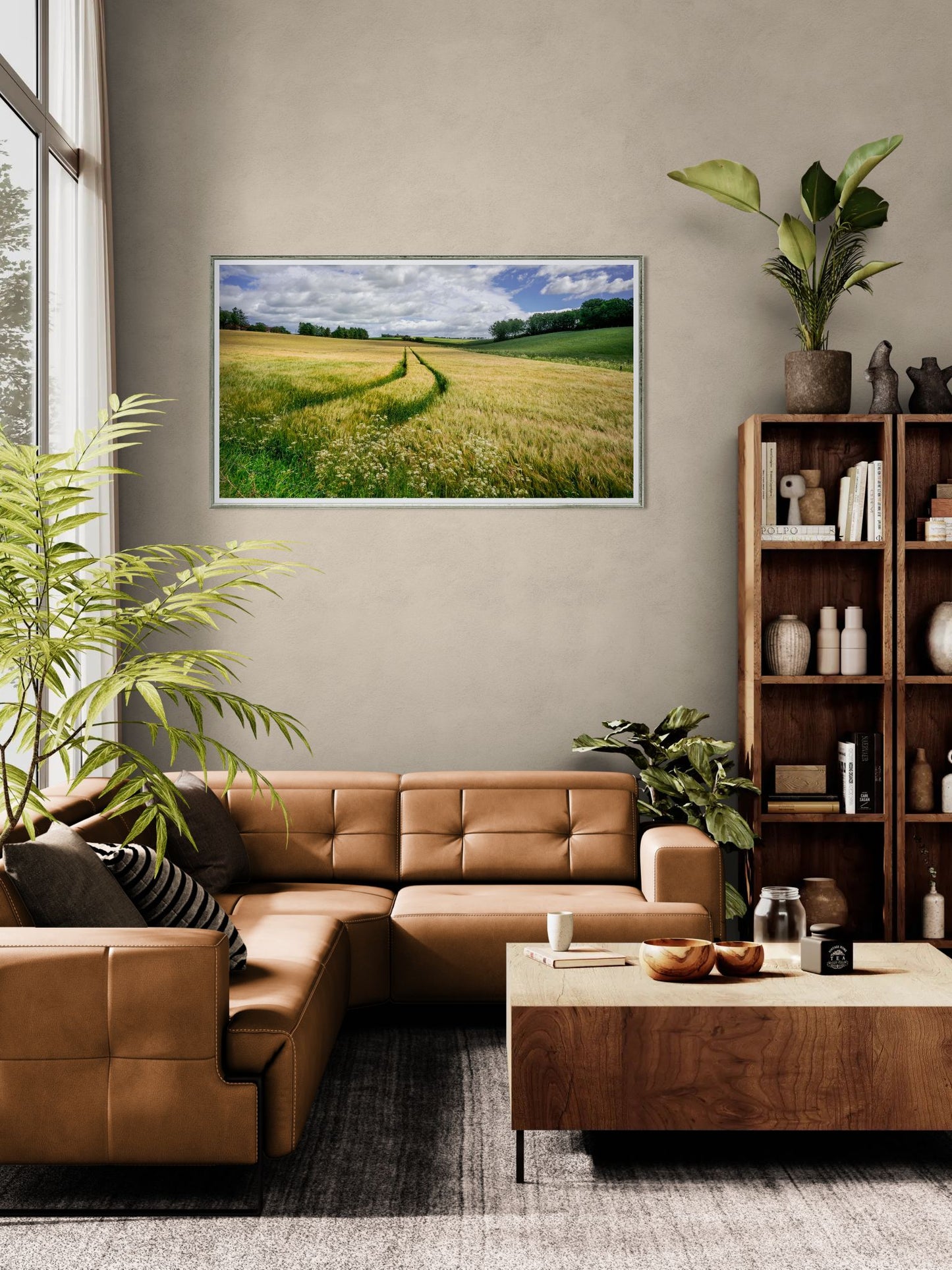 Scotland Lowlands field